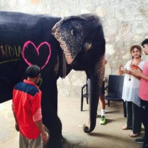 Elephant-village-Tour-300x300
